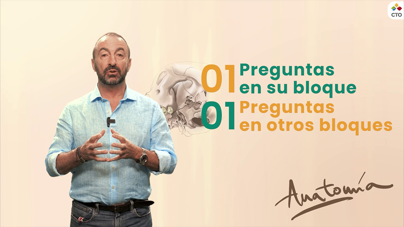 Proyecto formativo: edición, estructura narrativa y motion graphics